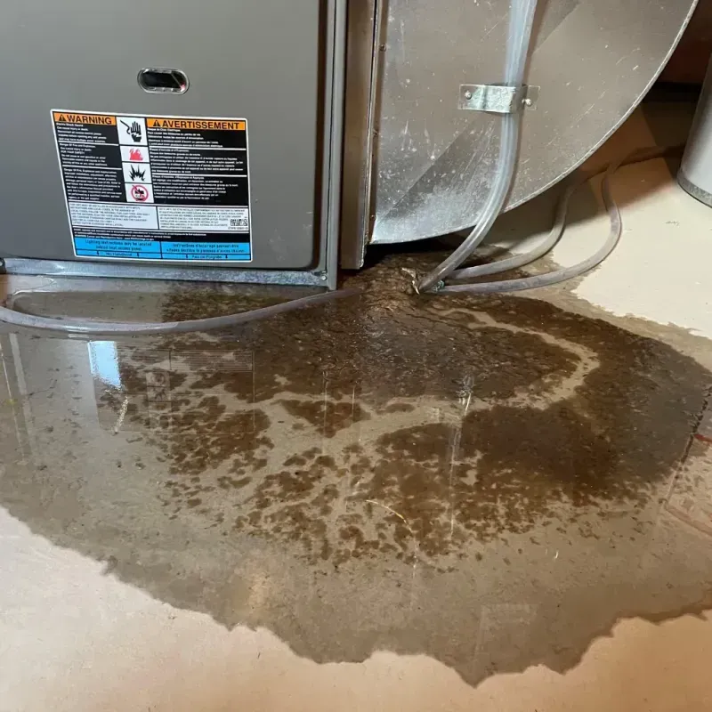 Appliance Leak Cleanup in Fort Rucker, AL